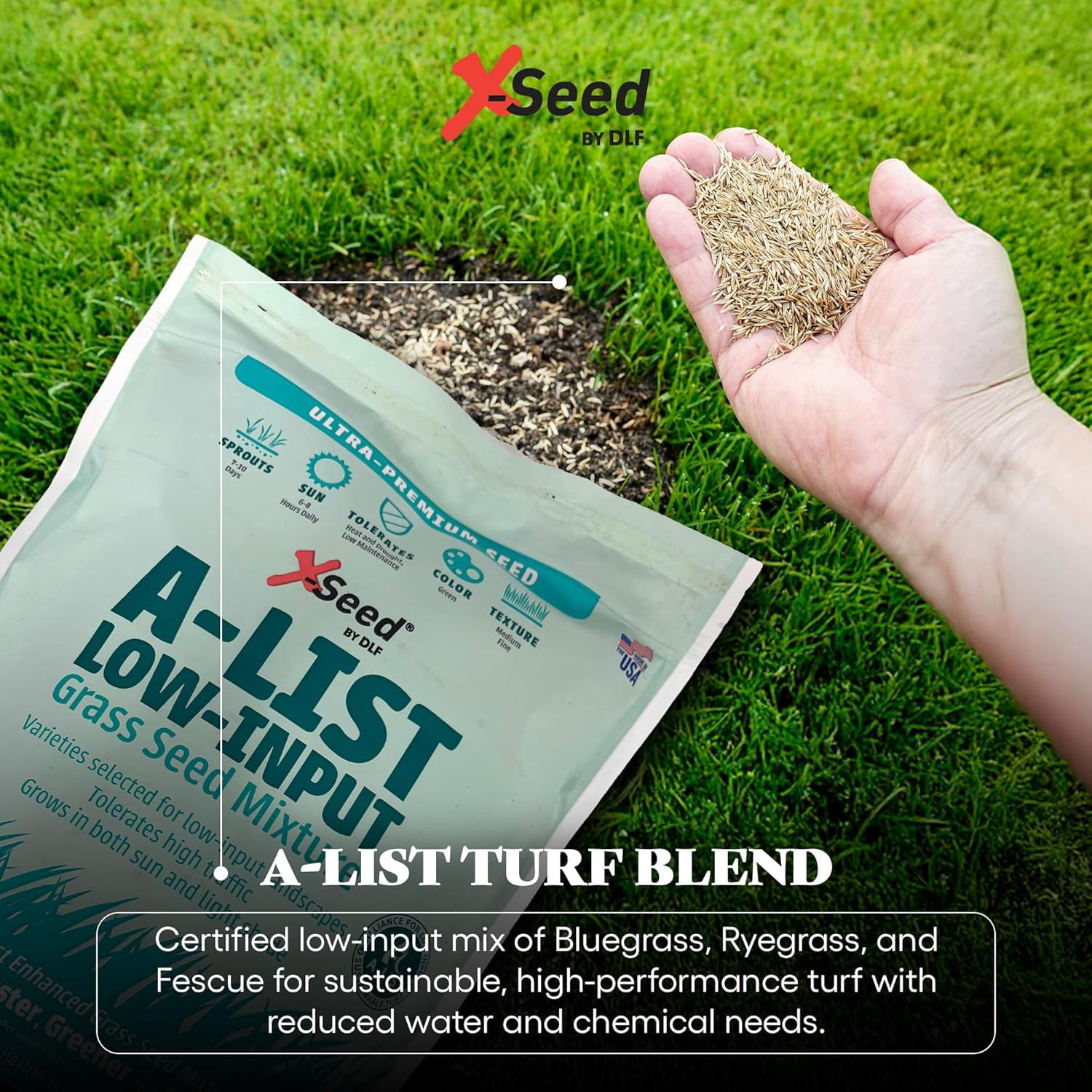 A-List Low Input Mixture Lawn Seed - Premium Grass Seeds for Lawn Repair Over Seeding and Thickening Ideal for Low Maintenance Drought-Resistant Lawn for High Traffic Sun and Light Shade Mix,3Pounds