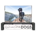 thumbnail image 3 of DOGS SPIN-QUOTES 4x6 frame - 4x6, 3 of 6