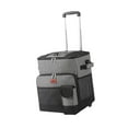 thumbnail image 3 of Bolsa más fresca conveniente de gran capacidad para actividades al aire libre bebidas senderismo Bolsa con barra de tracción, 3 of 8