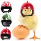 thumbnail image 2 of Casco de pollo 3 piezas Casco para mascotas Casco de plástico para pollo Casco de seguridad para mascotas Adorable Casco para mascotas Divertido Casco de seguridad para mascotas para pollo Pato - dontodent Kuyhfg Sin marca, 2 of 5