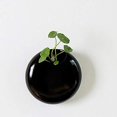 thumbnail image 3 of Set Of 2 Mini Wall-mounted Ceramic Flower Pots White / Black, 3 of 5
