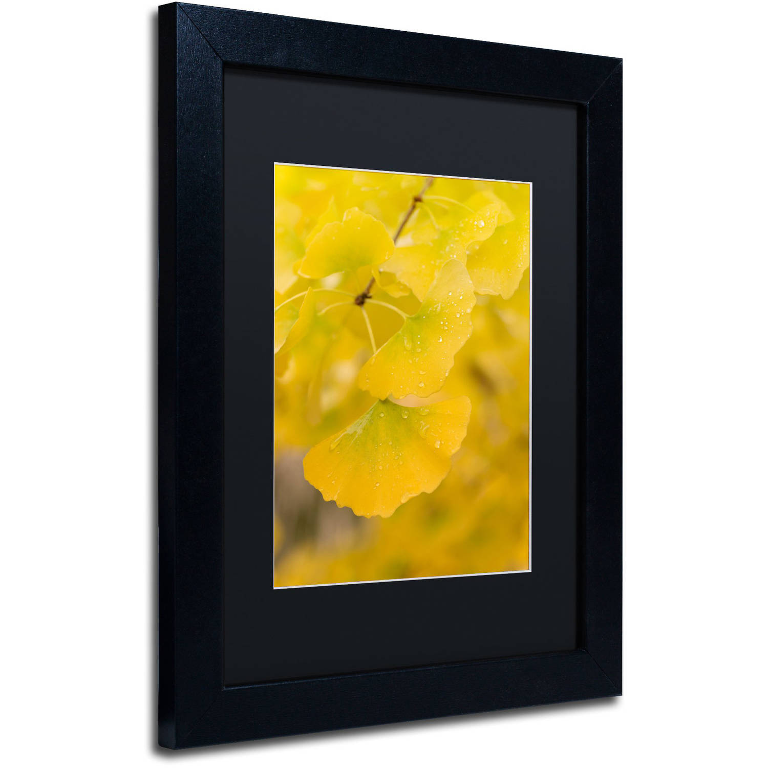 Trademark Fine Art "Millennium" Canvas Art by Philippe Sainte-Laudy Black Matte, Black Frame