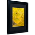thumbnail image 2 of Trademark Fine Art "Millennium" Canvas Art by Philippe Sainte-Laudy Black Matte, Black Frame, 2 of 4