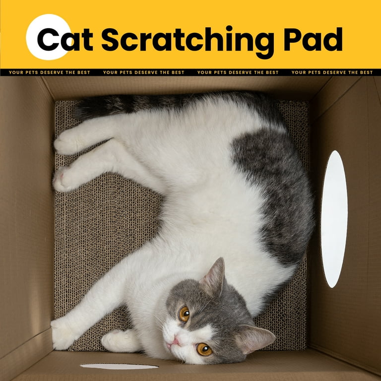 Cat scratcher reject shop 2025