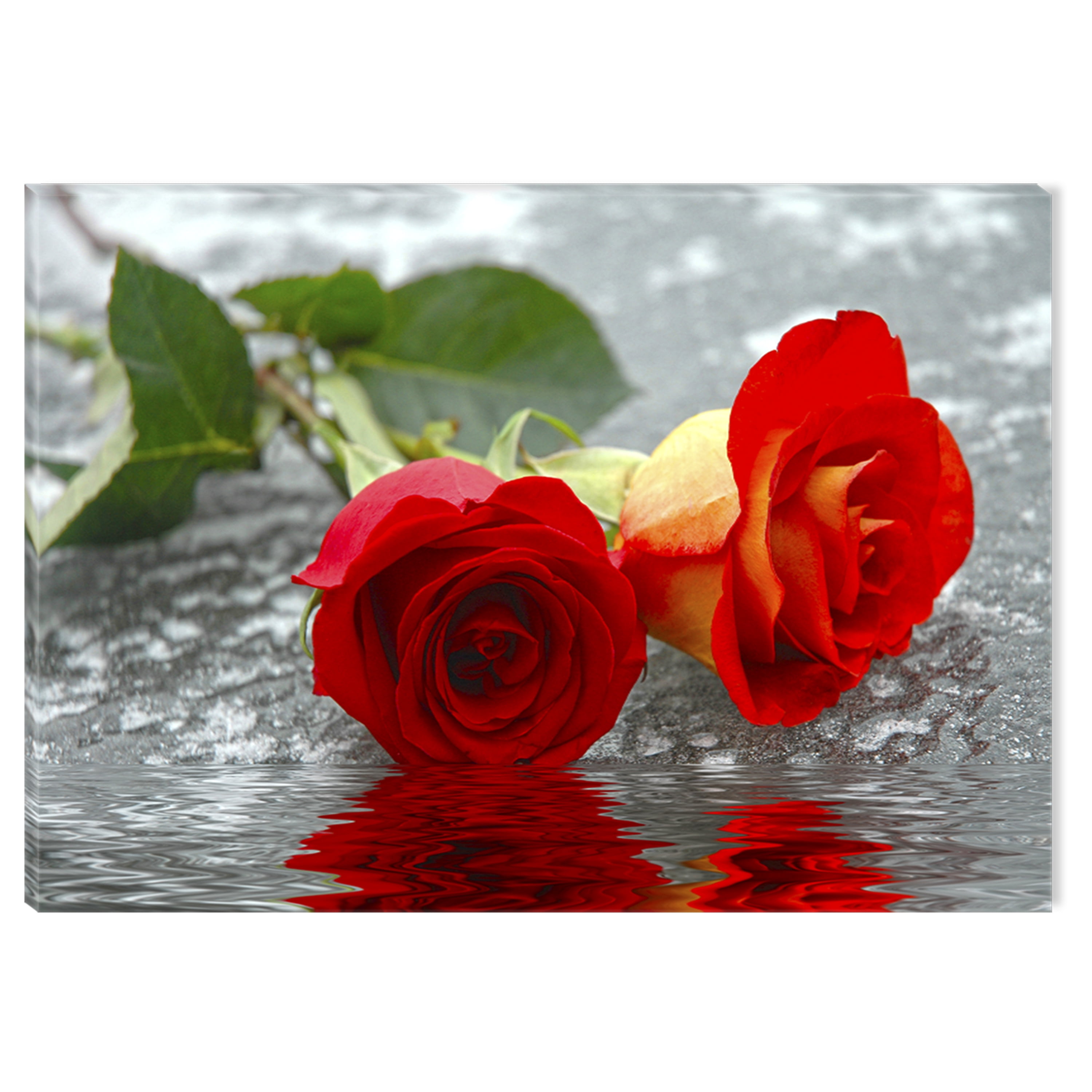 Startonight Canvas Wall Art Red Roses on the Water USA Design for Home
