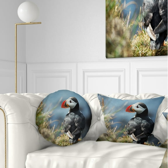 Designart Cute Puffin Relaxing - Animal Throw Pillow - 12x20