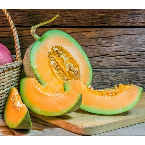Hale's Best Jumbo Cantaloupe Melon Seeds - Made in USA, Ships from Iowa (50 Seeds)
