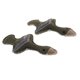 thumbnail image 5 of 2 uds juguetes masticables para perros resistentes a mordeduras cachorro mascota juguetes con sonido chirriante suministros para mascotas Pájaro Yuyangstore Juguete con sonido chirriante para perro mascota, 5 of 8