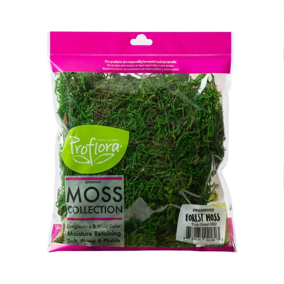ProFlora Green Forest Moss 2oz - Floral Arranging Supplies 0.15lb