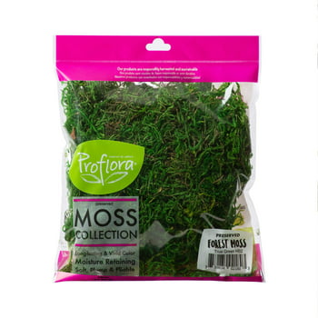 ProFlora Green Forest Moss 2oz - Floral Arranging Supplies