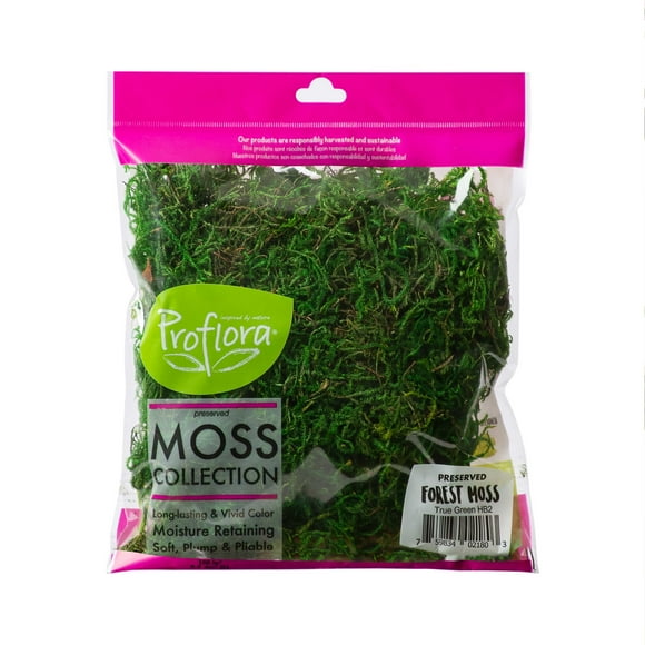 ProFlora Green Forest Moss 2oz - Floral Arranging Supplies 0.15lb