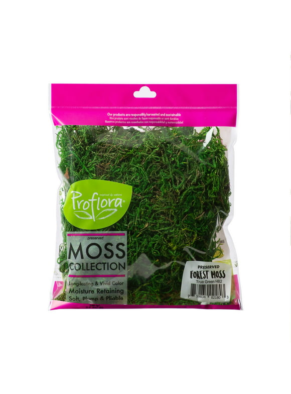 ProFlora Green Forest Moss 2oz - Floral Arranging Supplies 0.15lb