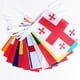 thumbnail image 4 of 2024 EURO Football Championship Bunting Flags - European Flag Bunting - with 24 Participating Teams Flags for Garden, Bar, Party Decoration, 4 of 5