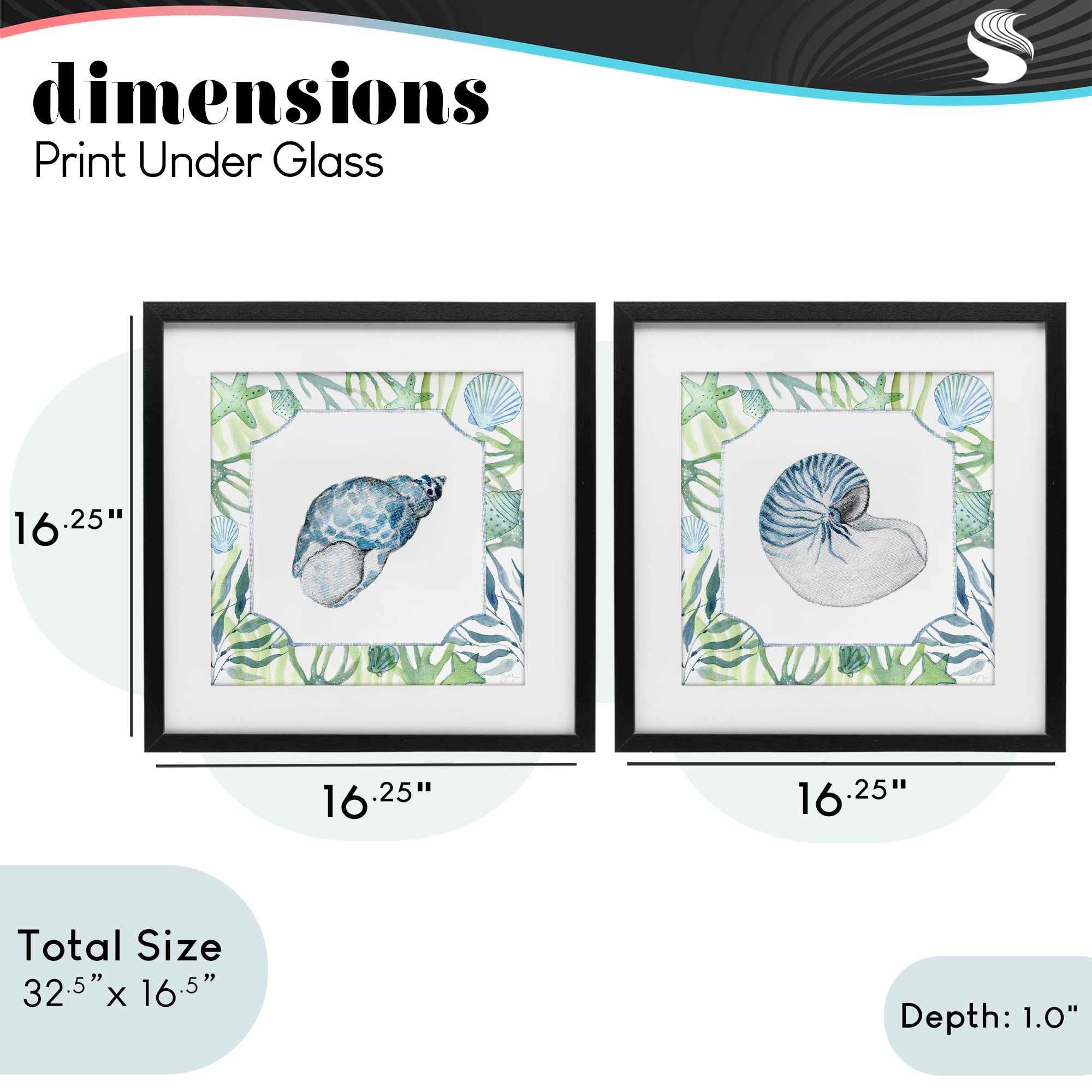 Stupell Industries Seaweed Bordered Seashells 2 Piece Black Framed Print Under Glass Set, design by Janet Tava