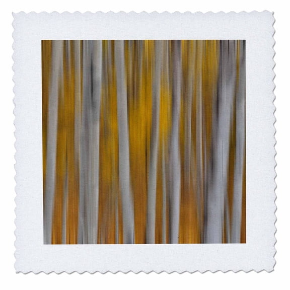 3dRose, Keebler Pass, Colorado, Fall golden aspens Panning the tree trunks., 6x6 inch quilt square