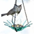 thumbnail image 2 of Mosaic Birds COURM35320000 8 inch Daisy Birdfeeder Clear, 2 of 6