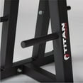 Titan Fitness Dumbbell Column Stand and Plate Tree, 260 LB