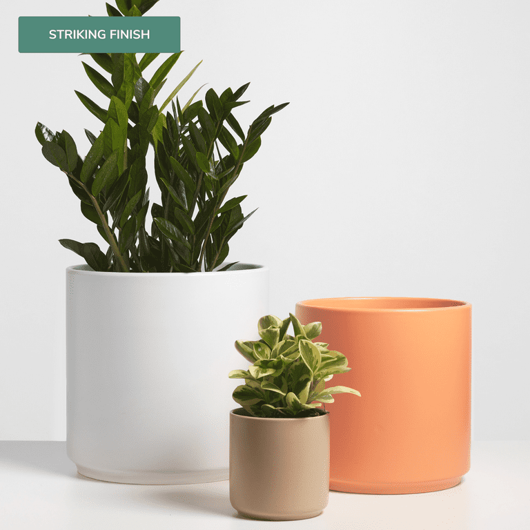 Peach & Pebble 10 inch Modern Ceramic Planter, Matte White Peach & Pebble 10 inch Modern Ceramic Planter, Matte White