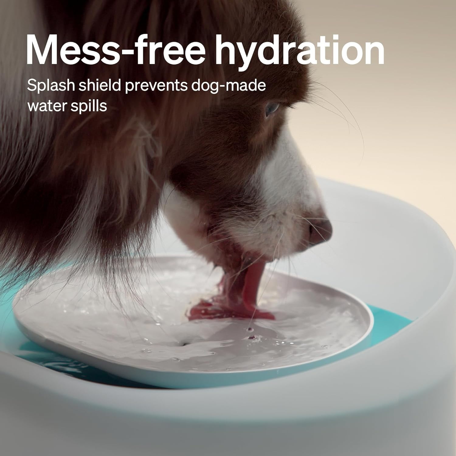 Dog Water Fountain, 2.1Gal/8L Capsule Dog Fountain for Medium to Large Dogs, Anti-Splash Dog Water Bowl Dispenser, Super Quiet Pet Water Fountain, Great for Dogs Cats and Multi-Pet Home