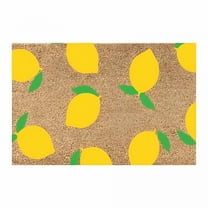 DERONA Welcome Mats for Front Door Summer Theme Doormat Lemon Outdoor Mats for Patio Waterproof 16X24In Summer Door Mats Coir Door Mat Spring Decor Heavy Duty Front Welcome Mats for Home Entrance