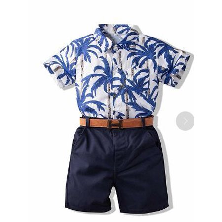 

Baby Boys Cotton Short Sleeve Tops+Short Pants Summer Casual Clothes