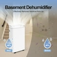 thumbnail image 5 of Kcpolre 30 Pint Dehumidifier for Homes, Basements & Large Rooms (1500 sq. ft.) - Ultra Quiet, Intelligent Humidity Control, Portable with Drain and Easy-Clean Water Tank, 5 of 8
