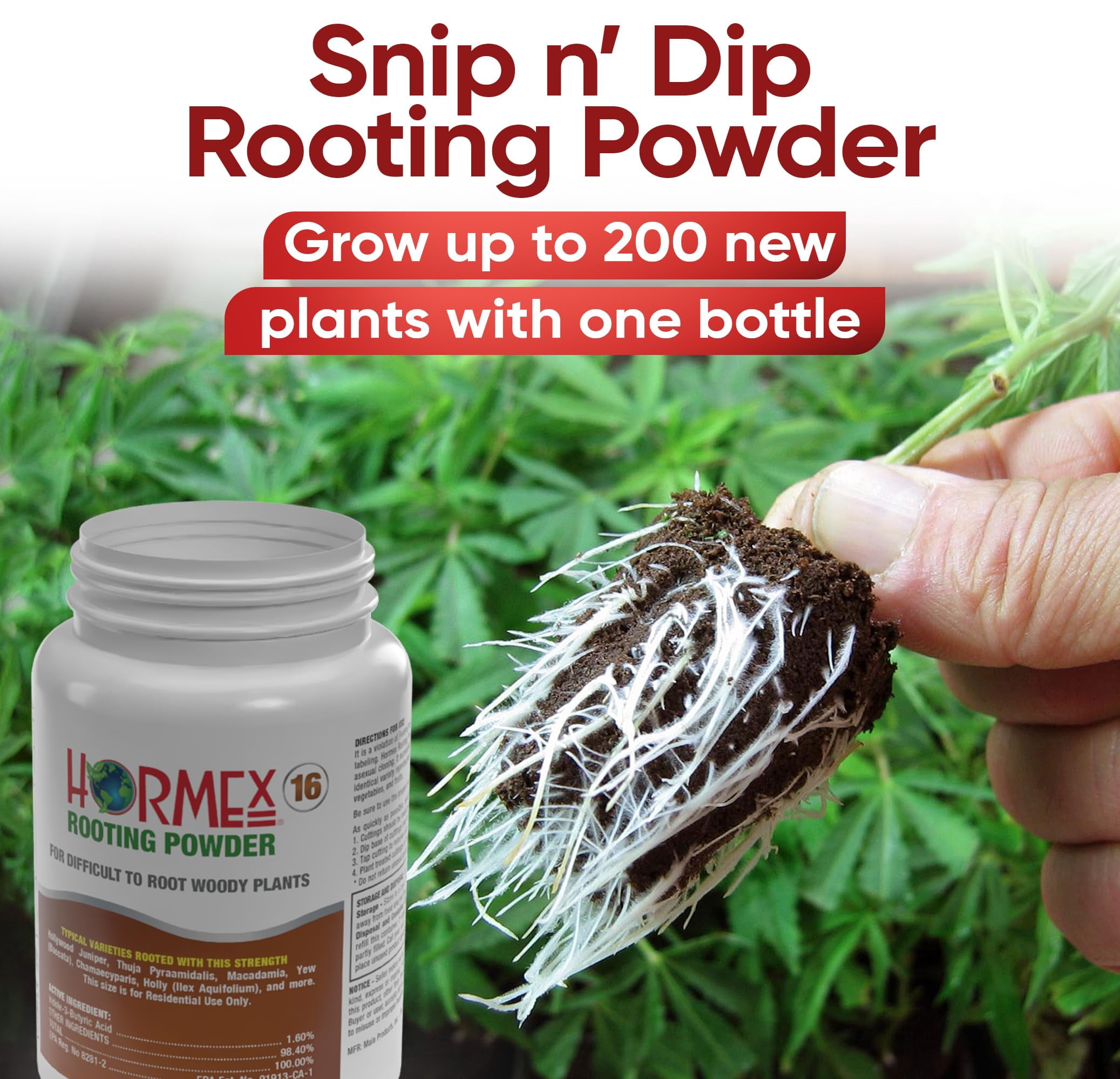 Hormex Rooting Hormone Powder #16 (1.60% IBA) for Difficult Hardwood Plants & Trees - Maximum Strength Root Stimulator for Woody Cuttings, Cloning, & Propagation