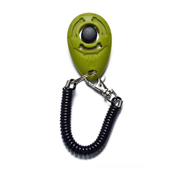 Pets Portables Capacitación Clicker Animal Comportamiento Ayudas Dieta Botón Entrenador Profesional Interior Suministros al aire libre Presenta Verde Oscuro Inevent PT003619-13