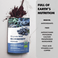 thumbnail image 7 of LOOV Organic Wild Blueberry Powder - 52-Day Supply - No Added Sugar, 7 of 7