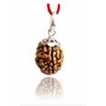 thumbnail image 4 of Kamada 3 mukhi/faced rudraksha pendant/ ,Spritual Necklace pendants for Women and Men, 4 of 5
