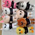 thumbnail image 3 of KPOP Stray Kids Skzoo peluche muñeco de peluche novia regalos Leeknow Hyunjin decoración del hogar regalos, 3 of 4