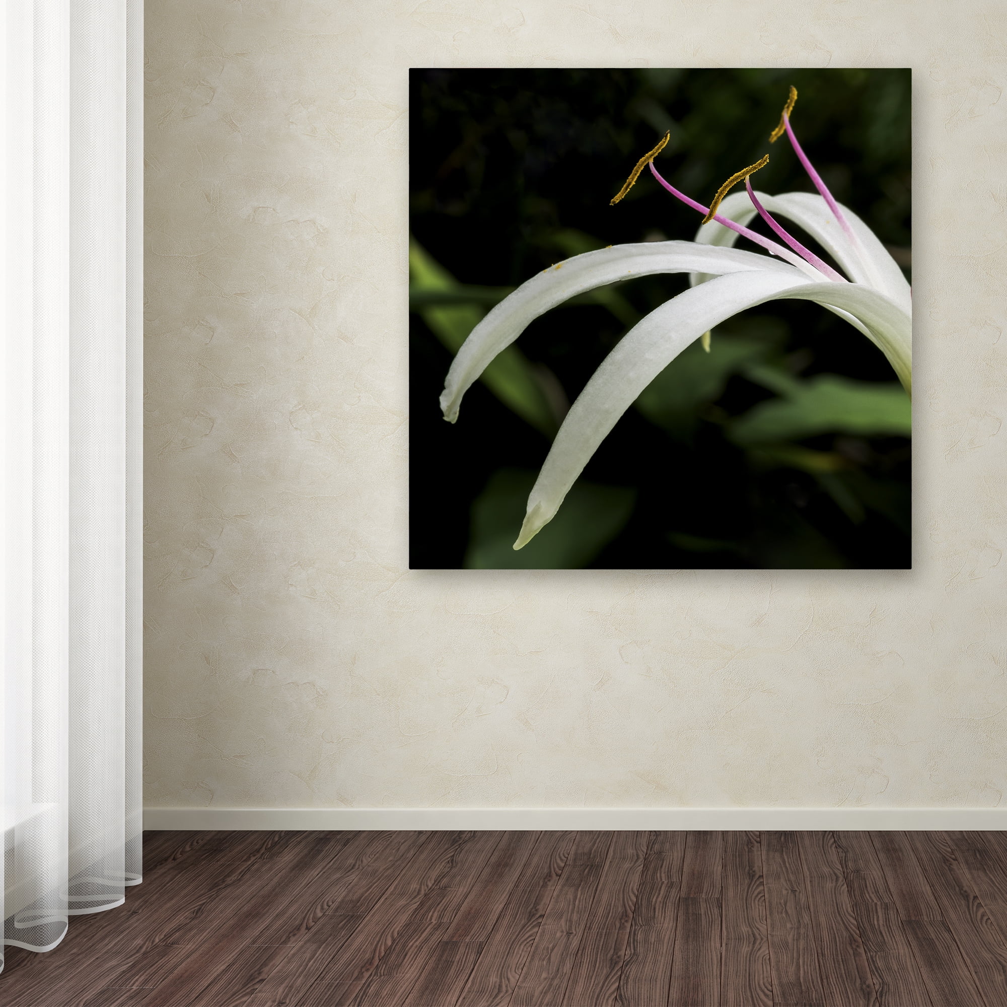 Kurt Shaffer 'Graceful Lily' Huge Canvas Art 35 x 35