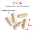 thumbnail image 5 of ARG Ox Bile 500 mg - Supports Fat Digestion - Delivers 500 mg Concentrated Bile Salts per Serving - Hypoallergenic & Vegetarian - 100 Servings - 100 Capsules, 5 of 7