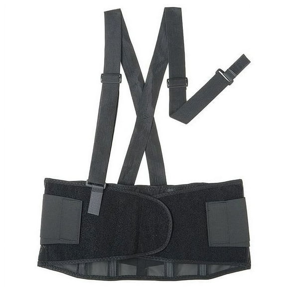 Condor Back Support w/Stay,Black,Polyester,L 6T564
