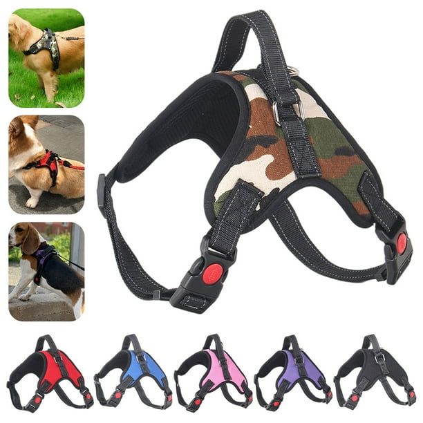 Goory Dog Harness and 5 FT Leash Set, No Pull Adjustable Pet Harness with Easy Control Handle