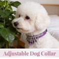 thumbnail image 3 of unbranded Collar Para Mascotas De Cuero PU Ajustable Con Para Perros Pequeños Morado, 3 of 6