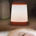 thumbnail image 3 of RENACLIPY 1Set Table Lamp Portable Design Soft Lighting Pink Plastic 9 x 8 x 12 Nursery, 3 of 4