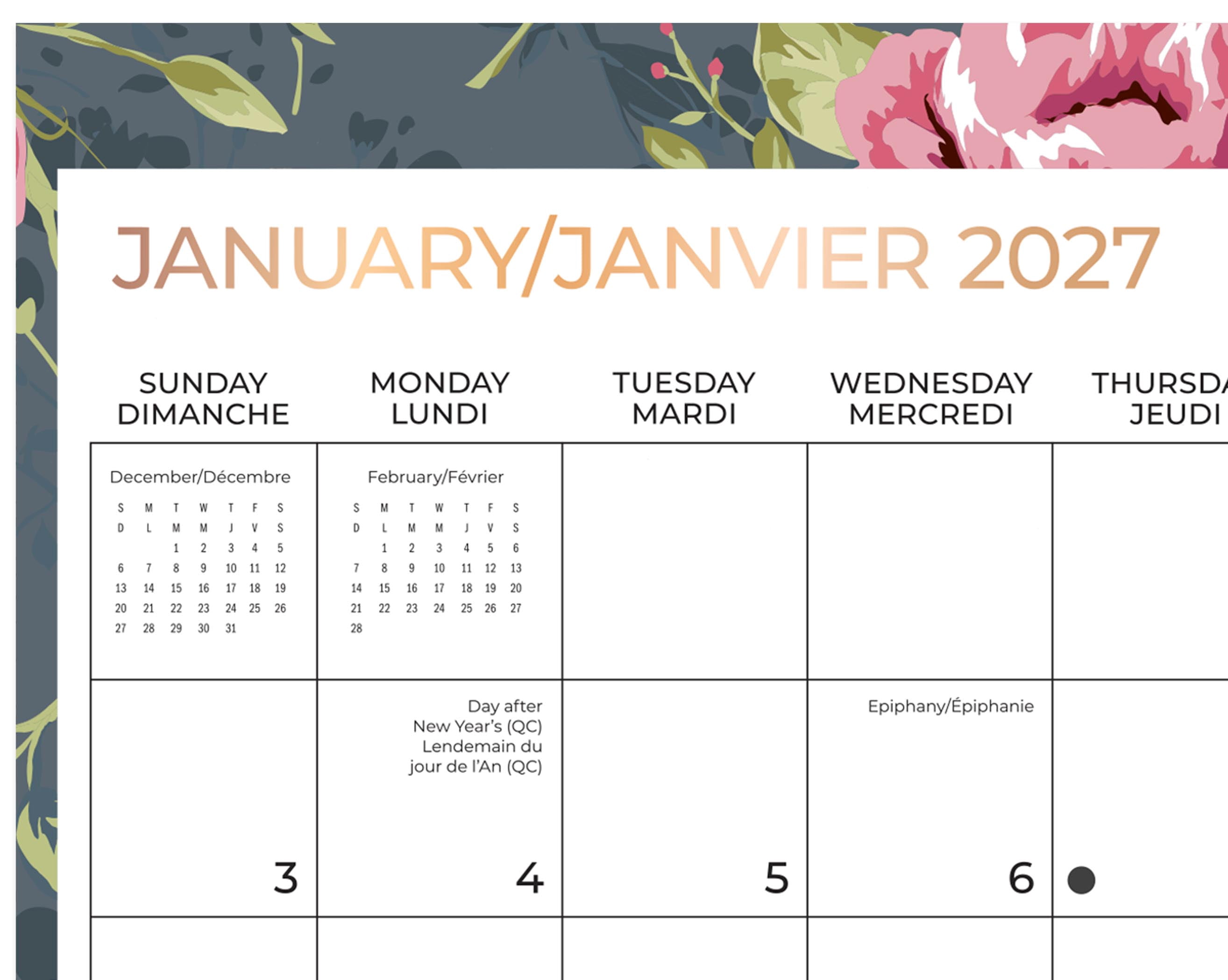 Calendrier de planification familiale 3.0. Mead®, 2027