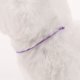 thumbnail image 3 of UPOUART 20Ud Collar De Identificación Para Cachorro Suave Ajustable Colores Para Uso Prolongado, 3 of 7