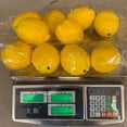 thumbnail image 4 of Pompotops Fake Fruit Home Decoration Artificial Lifelike Simulation Yellow Lemon 10pcs Set, 4 of 4
