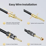GEARit Pro Series 14 AWG Speaker Cable 100ft with 12 Banana Plugs (6 Pairs) - CCA Copper Clad Aluminum, Audio Sound Wire, Black