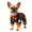 Black-L, variant on Dog Halloween Pajamas Festive Printed Pet Four‑Leg Sleep Jumpsuit Comfortable Holiday Outfit for Small Medium Large Dogs Home Rest Halloween Dress‑up (M)