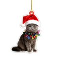 thumbnail image 2 of Dalxymotic Christmas Pet Acrylic Pendant, Christmas Acrylic Hanging Ornaments, Flat Printed Pet Pendant, Cute Ornament, Christmas Tree Decoration for Home, Mantel, Bookshelf, Desk, 2 of 8