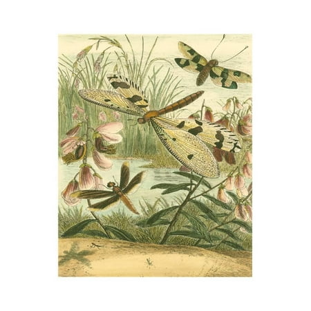 Pointillism Dragonfly Print - Dragonfly Gathering I Print Wall Art