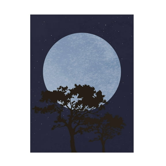 Canvas Wall Art - Pictufy Studio Ii 'Dark Night' Wall Art for Living Room, Bedroom, or Office Décor by Trademark Fine Art - 14 x 19 Inches