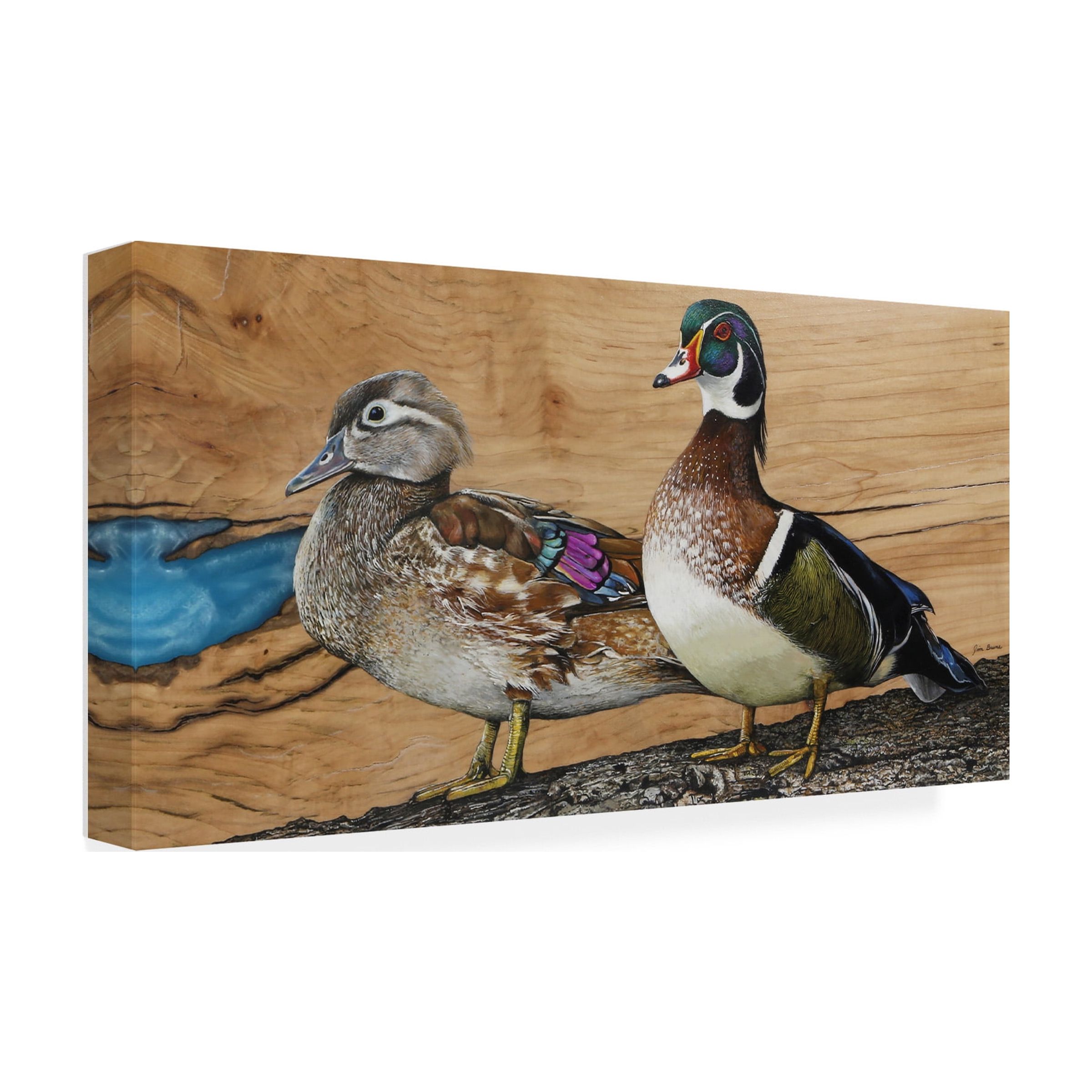 Canvas Wall Art - Jim Brune 'Wood Ducks Home Sweet Home' Wall Art for Living Room, Bedroom, or Office Décor by Trademark Fine Art - 32 x 16 Inches
