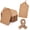 100pcs Brown, variant on 100pcs Gift Tags with String Attached, 1.7 x 2.8 inch Kraft Paper Hang Tags for Clothes DIY Crafts Wedding Holiday (Brown)