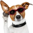 thumbnail image 3 of TopLLC Lunettes de Protection pour Petits et Moyens Chiens, 3 of 4
