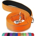 thumbnail image 1 of Jinswick Reflective Dog Leash Dog Training Leash Nylon Braided 4ft 5ft 6ft Heavy Duty with D for Large and Medium Dogs Comfortable for Running Training, 1 of 20