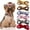 Random Color-6PCS, variant on Dalrosia Leopard Small Dogs Hair Bows Yorkie Top Bowknot for Medium Dogs Puppy Pet Cheetah Topknot Cat Grooming Hair Accessories
